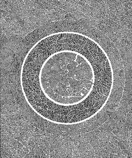 illustration of circles filled with lines like the underside of a Daedalea quercina