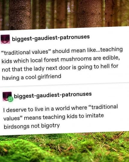 biggest-gaudiest-patronuses “traditional values” should mean like...teaching kids which local forest mushrooms are edible, not that the lady next door is going to hell for having a cool girlfriend

biggest-gaudiest-patronuses I deserve to live in a world where “traditional values” means teaching kids to imitate birdsongs not bigotry