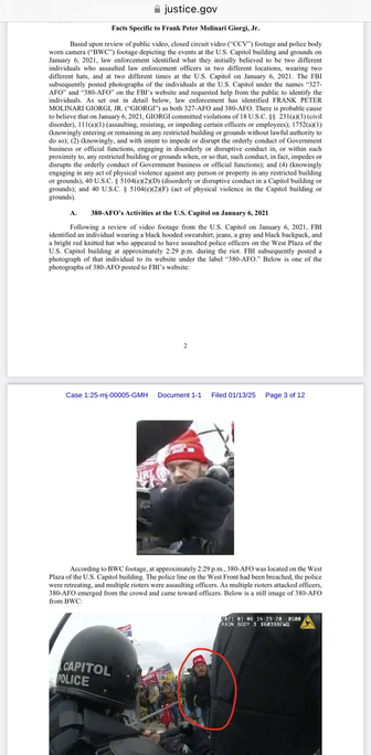 Screenshot of pages from court document pertaining to January 6th riot suspect Frank Peter Molinari Giorgi Jr. (San Francisco, California).