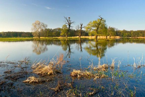 photo of a flat floodplain landscape