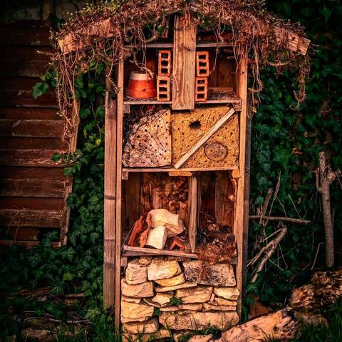 This image shows an insect hotel, a man-made structure designed to provide shelter for various types of insects. It is constructed from natural materials like wood, bricks, logs, and stones, and is often used to encourage biodiversity in gardens. The structure comprises various compartments filled with different materials to attract specific insect species.