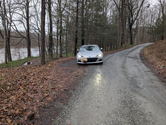 My BRZ on the side of the unpaved part of Old Mine Road, with the Delaware River on the left in the background.