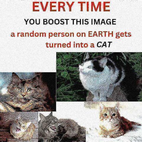 text: every time you boost this image a random person gets turned into a cat.

There's several pictures of cats below the text.