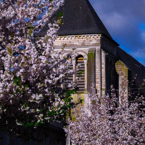 The image shows a stone building, likely a church, characterized by arched windows and intricate stonework. In the foreground, there are blossoming trees with pink flowers, which may be cherry blossoms. The sky is partly cloudy with patches of blue.