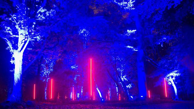 Ein verzauberter (=mit Lichtkunst ausgestatteter) Garten im Schloss Arcen in den Niederlanden.