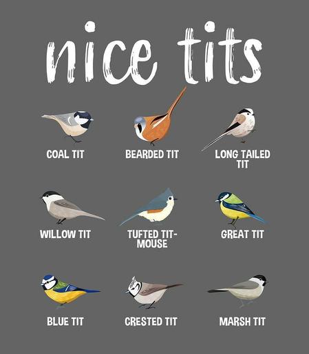 A graphic entitled "nice tits" showing a series of pictures of different types of bird of the tit family 

Coal tit
Bearded tit
Long tailed tit
Willow tit
Tufted tit-mouse
Great tit
Blue tit
Crested tit
Marsh tit