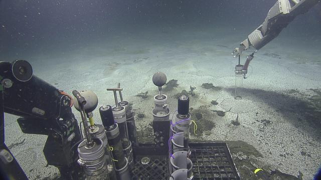 Underwater photo from a remotely operated vehicle. It shows the robot's manipulator arm taking samples from the flat muddy seafloor in front of it. The seafloor is covered in white granular material.