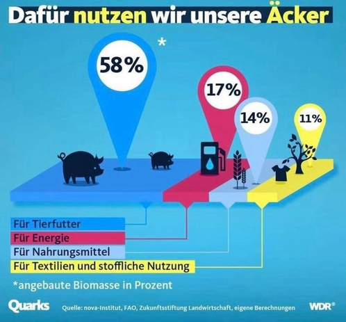Dafür nutzen wir unsere Äcker: Für Tierfutter 58 % Für Energie 17 % Für Nahrungsmittel 14 % Für Textilien und stoffliche Nutzung 11 % Quarks Quelle: nova-Institut, FAO, Zukunftsstiftung Landwirtschaft, eigene Berechnungen