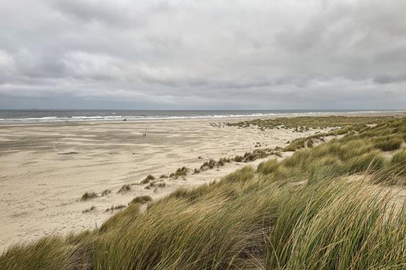 The beach of Midsland-Noord on the Dutch North Sea island Terschelling on a cloudy and windy day. The photo is taken from an elevated location in the dunes, beach grass tilted by the wind dominates the foreground.