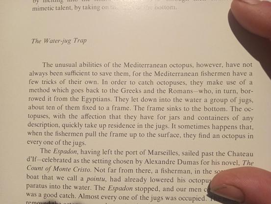 The unusual abilities of the Mediterranean octopus, however, have not always been sufficient to save them, for the Mediterranean fishermen have a few tricks of their own. In order to catch octopuses, they make use of a method which goes back to the Greeks and the Romans—who, in turn, borrowed it from the Egyptians. They let down into the water a group of jugs, about ten of them fixed to a frame. The frame sinks to the bottom. The octopuses, with the affection that they have for jars and containers of any description, quickly take up residence in the jugs. It sometimes happens that, when the fishermen pull the frame up to the surface, they find an octopus in every one of the jugs.