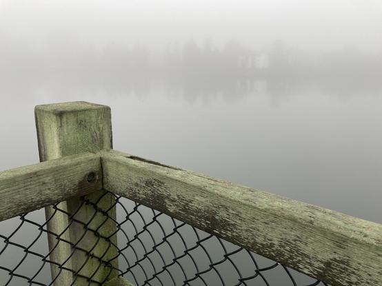 Water front pier, green with mildew, overlooking a foggy lake. Trees hint in the distance.