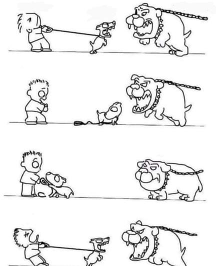 Leash Aggression