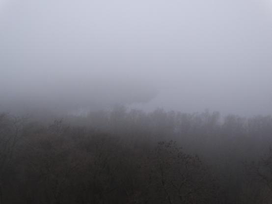Blick von einem Aussichtsturm in eine Nebelwand. Unten im Vordergrund sind Baumwipfel erkennbar, in der Mitte undeutlich ein See.
