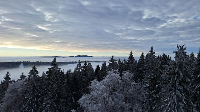 View over winter forest into lowlands, covered by layer of low clouds or fog. Mountain peaks in the distance are above clouds.