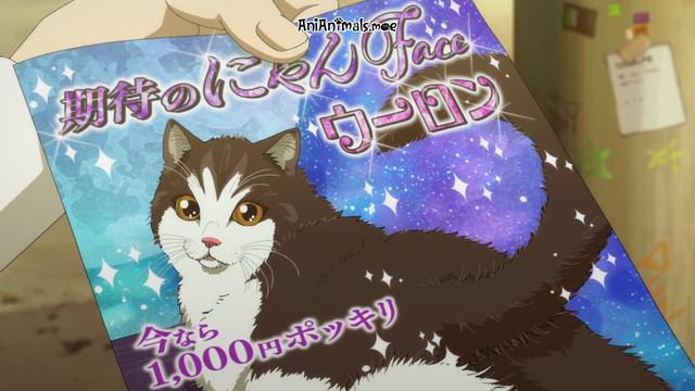 A black and white cat is on a very sparkly poster