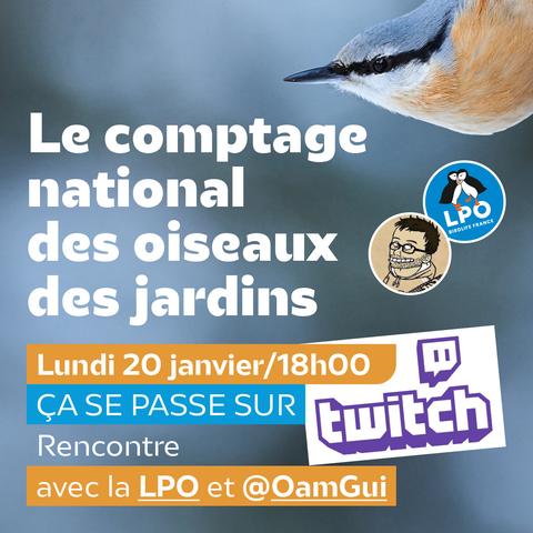 Visuel annonçant un live sur Twitch dédié au comptage national des oiseaux des jardins.

Un oiseau (la Sitelle torchepot) est visible en haut à droite sur un fond flou gris-bleu.
Le texte au centre en blanc indique : "Le comptage national des oiseaux des jardins" avec en dessous la date et l’heure : "Lundi 20 janvier / 18h00", en blanc sur fond orange. Le live est une rencontre co-animée avec la LPO et OamGui. Le logo Twitch est mis en avant en bas à droite, ainsi que les logos de la LPO et d’OamGui au centre à droite.