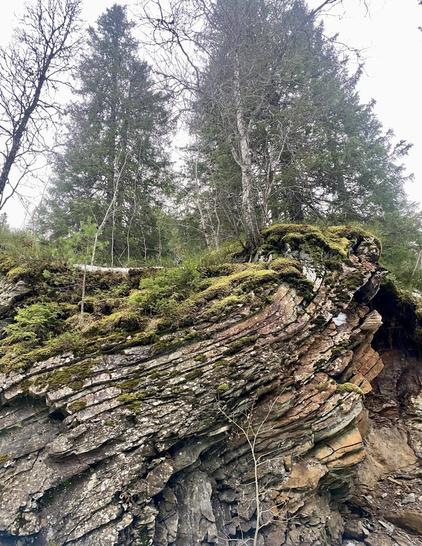 A wall of folded and layered rock that most probably is old sea-bottom rises upwards. The top is covered by moss and fir trees.