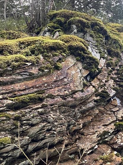 A close up of the folded layers.