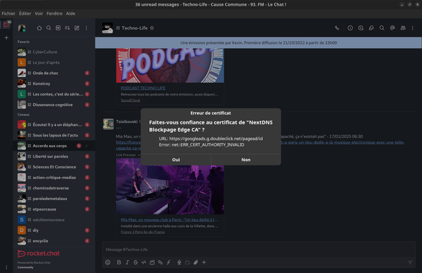 une capture de Rocket Chat avec une popup qui affiche un accès vers un tracker de publicité. Bloqué par NextDNS