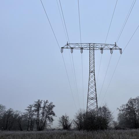 Ein Stromleitungsturm steht in einer nebligen Landschaft, umgeben von Bäumen und frostbedecktem Boden unter einem blassen Himmel.