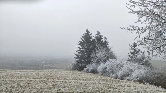 Eine Wiese, die stark voll Rauhreif ist. Rechts stehen einige Nadelbäume und ein Laubbaum, die ebenfalls voll Rauhreif sind. Im Hintergrund verschwindet ein Ort im Nebel.