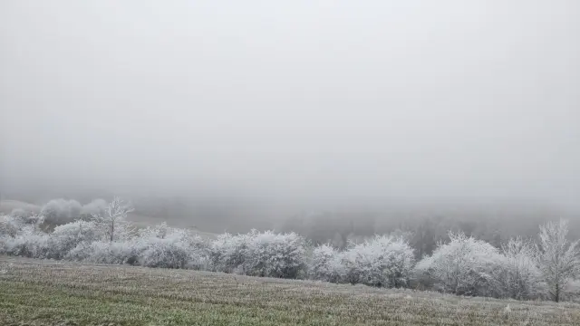Gebüsch, das komplett von Rauhreif überzogen ist und fast im Nebel verschwindet. Davor sieht man etwas Wiese, die ebenfalls stark voll Rauhreif ist.