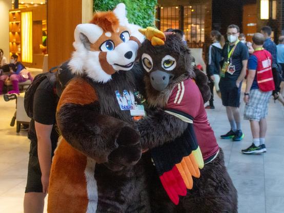 A photo of a phoenix and a very plush red panda fursuit hugging,