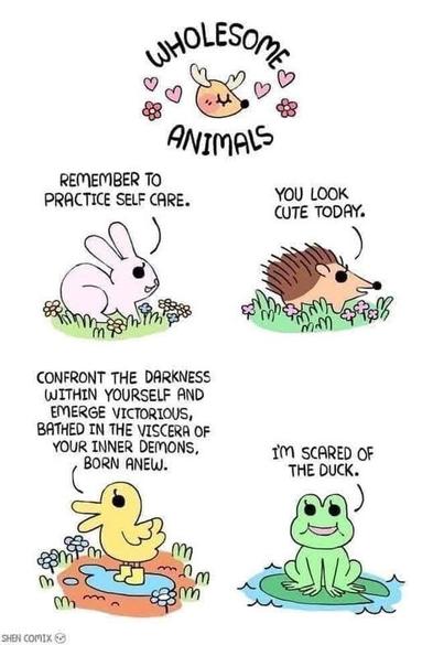A one panel page cartoon by Shen Comix titled: Wholesome Animals

Adorable bunny says: Remember to practice self care.
 
Adorable hedgehog says: You look cute today.

Adorable ducks says: Confront the darkness within yourself and emerge victorious, bathed in the viscera of your inner demons, born anew.

Adorable frog says: I'm scared of the duck.