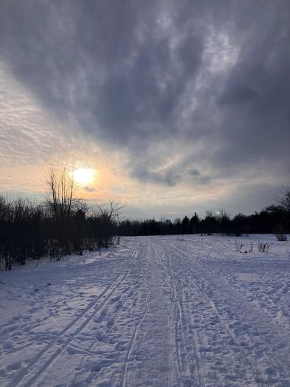 A snow covered pathway in the late afternoon. Sun is low in the sky and clouds are starting to move in. Brush lines the pathway in the foreground, evergreens line the horizon.