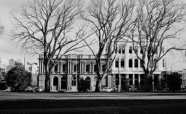 Monochrome. A winter scene but no snow or frost. Shows two 19th century buldings at a distance. They are side by side. One is two stories and one three. Both in light stone - the higher is brilliant white for he upper stories. Infront of them are three large trees that are totally bare of leaves and almost silloutes.