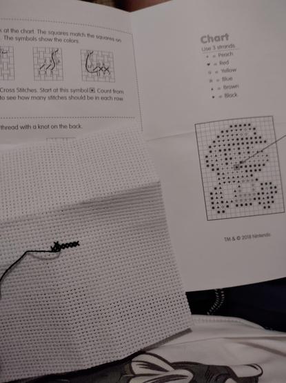 Start of cross stitch and instructions behind
