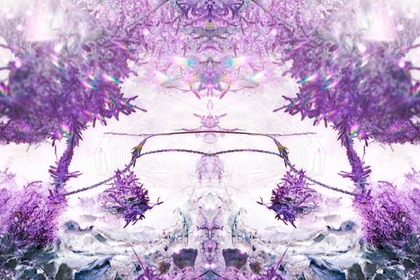 The picture was mirrored and filtered until it was violett and white in the opposite colours. There are also some prism effects in the picture.