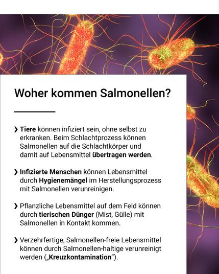 Woher kommen Salmonellen? Tiere können infiziert sein, ohne selbst zu erkranken. Beim Schlachtprozess können Salmonellen auf die Schlachtkörper und damit auf Lebensmittel übertragen werden. Infizierte Menschen können Lebensmittel durch Hygienemängel im Herstellungsprozess mit Salmonellen verunreinigen. Pflanzliche Lebensmittel auf dem Feld können durch tierischen Dünger (Mist, Gülle) mit Salmonellen in Kontakt kommen. Verzehrfertige, Salmonellen-freie Lebensmittel können durch Salmonellen-haltige verunreinigt werden („Kreuzkontamination“).
