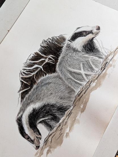 Autre photo de l'illustration