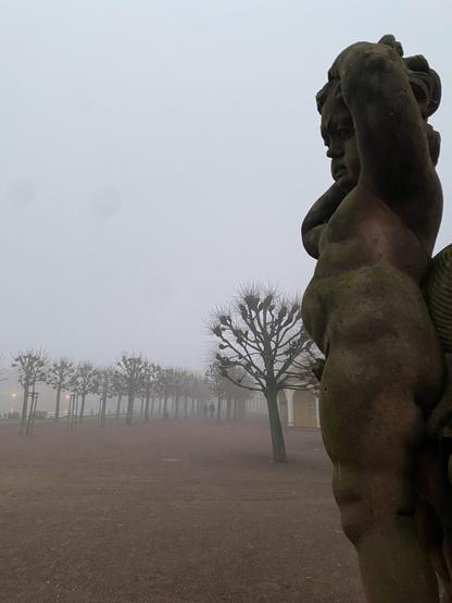 Kahle Bäume und Nebel