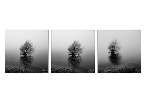 triptyque sur fond blanc de trois photos au format carré, monochrome en noir et blanc, présentant le même arbre et son reflet à quelques mètres de la rive d'un étang dans un épais brouillard. Sur la première photo, on peut voir les cercles concentriques à la surface de l'eau générés par le  jet d'un caillou. Sur la seconde photo les cercles ont continué à s'agrandir alors que sur la troisième photo, on perçoit les cercles concentriques dans un plan vertical maintenant, devant l'arbre et le rivage, cette troisième photo ayant été captée en pratiquant un mouvement de rotation autour de l'axe de l'objectif.