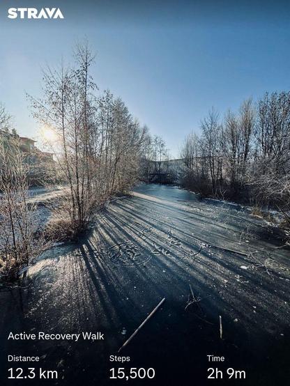 A serene winter landscape featuring a frozen waterway surrounded by bare trees. The sunlight casts long shadows across the ice. Overlayed information indicates an active recovery walk covering 12.3 km in 2 hours and 9 minutes, with a total of 15k steps.