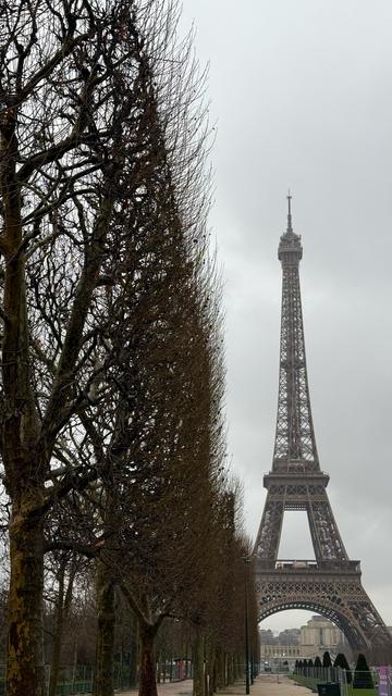 Grauer Tag, links in Form geschnittene, kahle Bäume - rechts im Hintergrund der Eiffelturm.