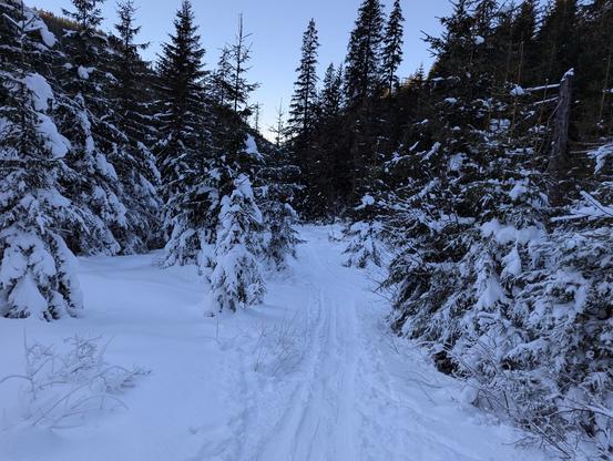 Ski track approaching the bottom of the valley called Látaná dolina.