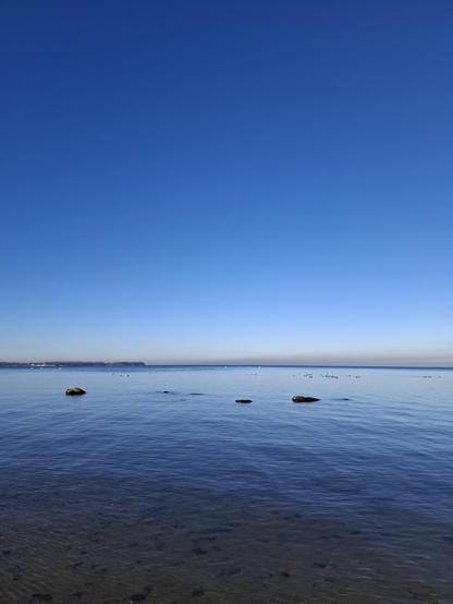 Wasser & Himmel: Winterostseeblau. 
Auf dem zweiten Foto m(ein) Hund am weiten, leeren Ostseestrand.