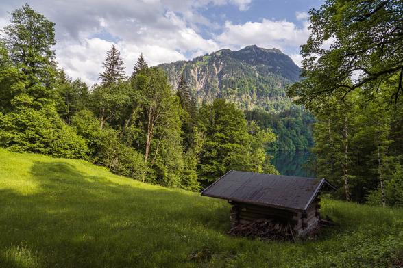A small wooden hut sits on a grassy slope surrounded by dense green forests, overlooking the Freibergsee and distant alpine peaks near Oberstdorf in the Allgäu region of Germany.
