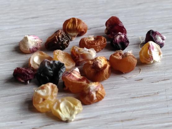 Kernels of sweetcorn with red lines called chinmarks