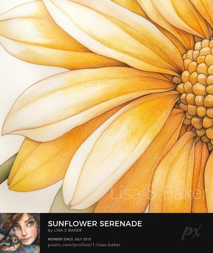 A art print of a close-up view of a sunflower showcasing its vibrant yellow and orange petals, highlighting the intricate details of the flower's center. The soft gradients and shading give a sense of depth and warmth. Art by Lisa S Baker.