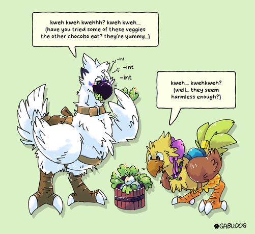 Art of Gabu and Sofsh after they got transformed into chocobos from Final Fantasy, standing next to a wooden bucked filled with Gysahl Greens

Gabu is munching on some leaves and has a bit of a dazed look in its eyes. The text "-int -int -int" appears next to its head as it's losing intelligence from eating the greens and becoming more of a birdbrain.

Meanwhile Sofsh is looking down and she's sniffing and inspecting the bucket with a skeptical look.

Gabu: kweh kweh kwehhh? kweh kweh... (have you tried some of these veggies the other chocobo eat? they're yummy...)
Sofsh: kweh... kwehkweh? (well... they seem harmless enough?)