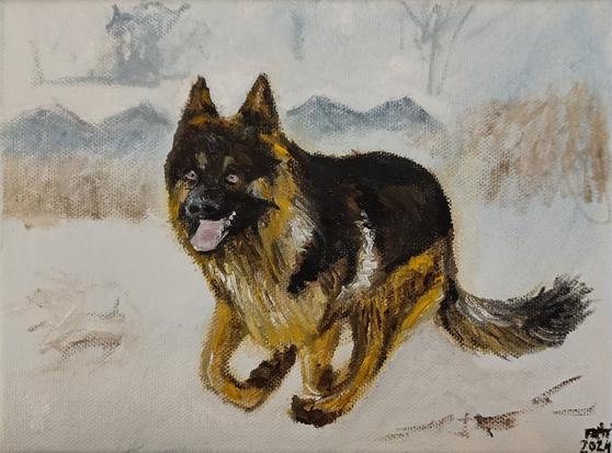 An oil painting of a Belgian shepherd dog running in the snow. Brown and black fur.