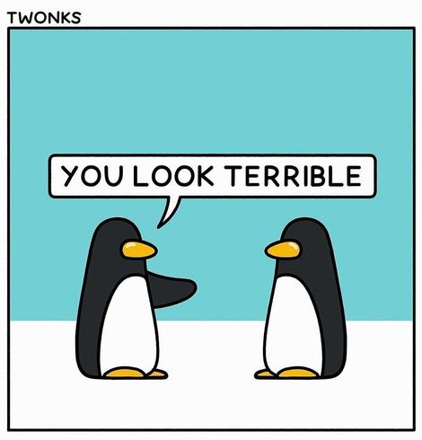 Comic. A simply drawn comic strip in one picture: two completely identical penguins face each other. The penguin on the left raises its wing and says to the other: "You look terrible". 
Note: Everyone knows someone like this and there is hardly a better description for social media platforms in general.