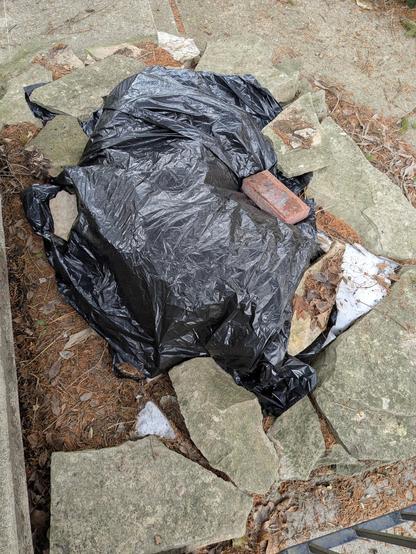 A garden bed is covered in black plastic held down with stones. Underneath the plastic are crumpled newspapers, with both the plastic and the newspapers protecting Japanese false holly plants (not visible) from the extreme cold.