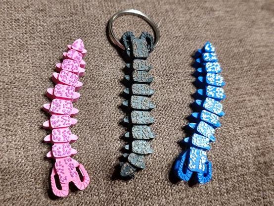 Three 3d printed velvet worm designs. (A velvet worm is a long worm-like creature with antennae and stubby little legs.) The left-most velvet worm is pink with purple specks, facing down. The middle velvet worm is black with brown specks, facing up, with a 1-inch (2.5cm) split ring through it's head. The right velvet worm is blue with tan specks, facing downwards.