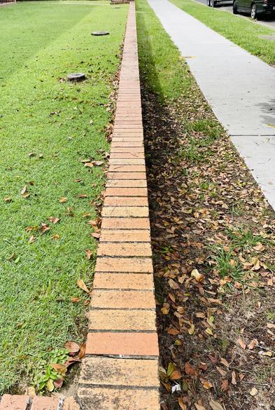 Just an average NSW coastal 'garden' in suburbia