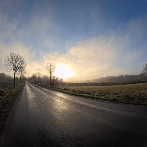 A dreamy picture of a wet road, a tree in the horizon, with a blue sky above as the sun is just about burning through the morning mist